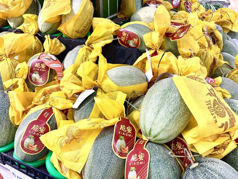 夏天夏季应季水果哈蜜瓜