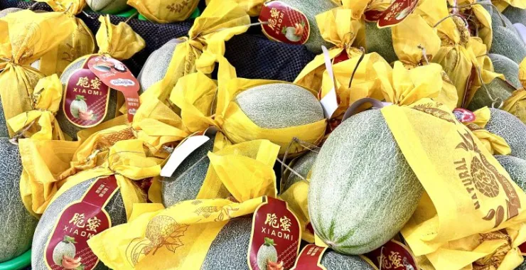夏天夏季应季水果哈蜜瓜