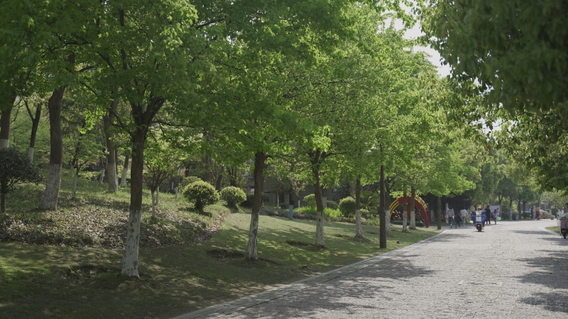 余姚玉皇山公园植物