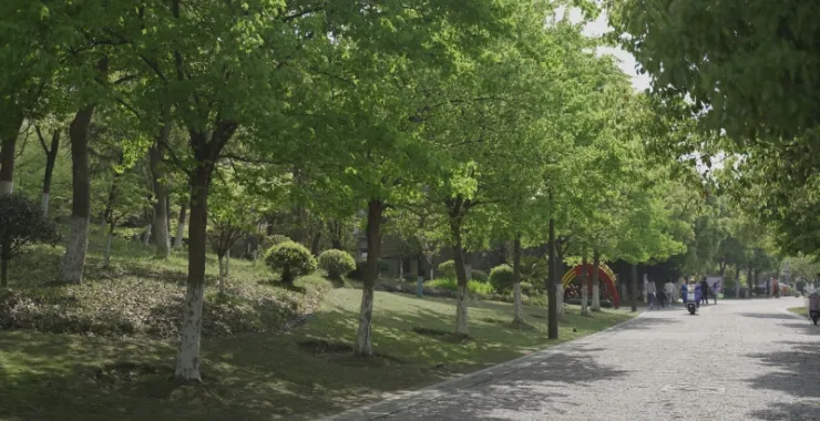 余姚玉皇山公园植物