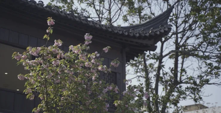 余姚阳明古镇