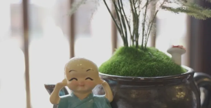 装饰植物摆件可爱小和尚