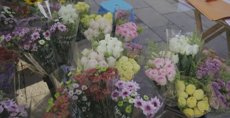 阳明古镇鲜花小摊