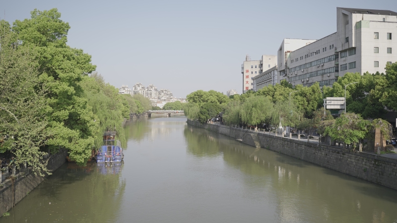 余姚姚江两岸植物建筑景观