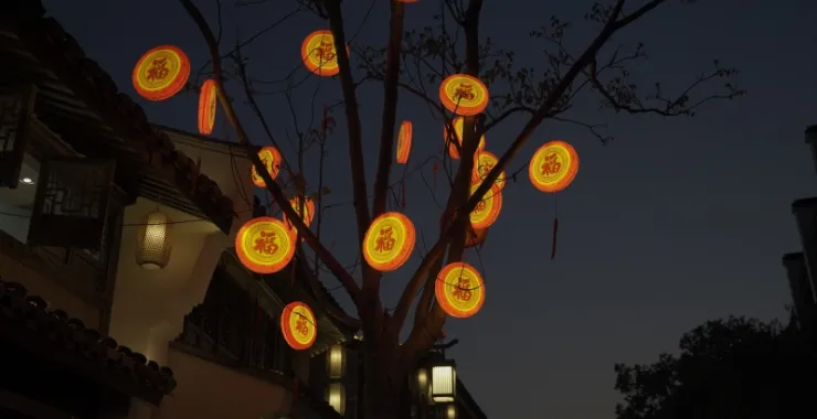 阳明古镇夜景大树灯笼
