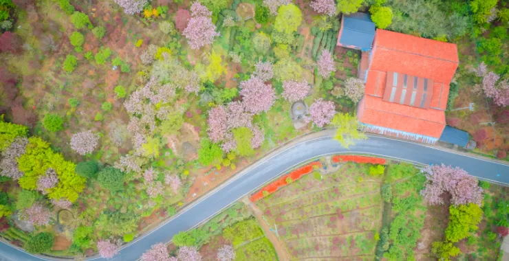 余姚大山里群山俯瞰村庄青山绿树樱花鲜花春色春天山路