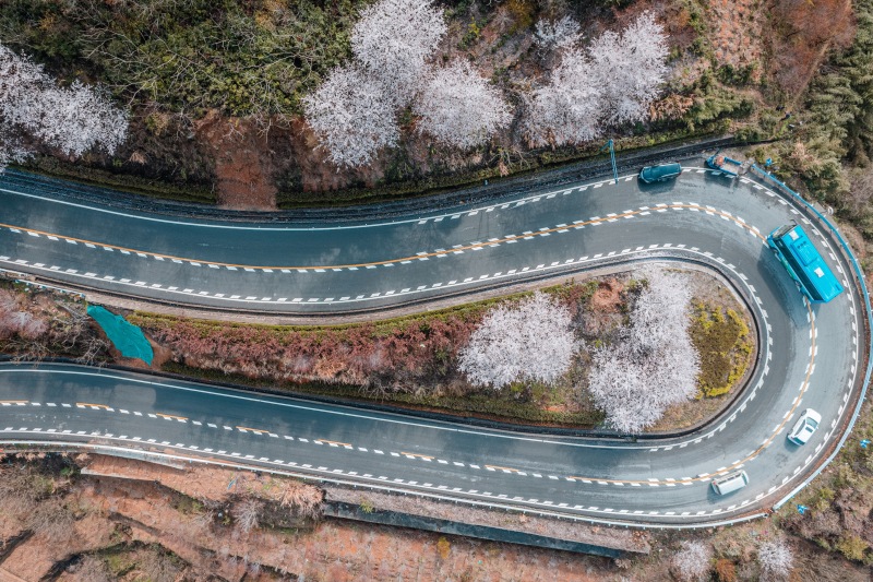 浒溪线发卡弯余姚大山里群山青山绿树樱花鲜花春色春天汽车山路
