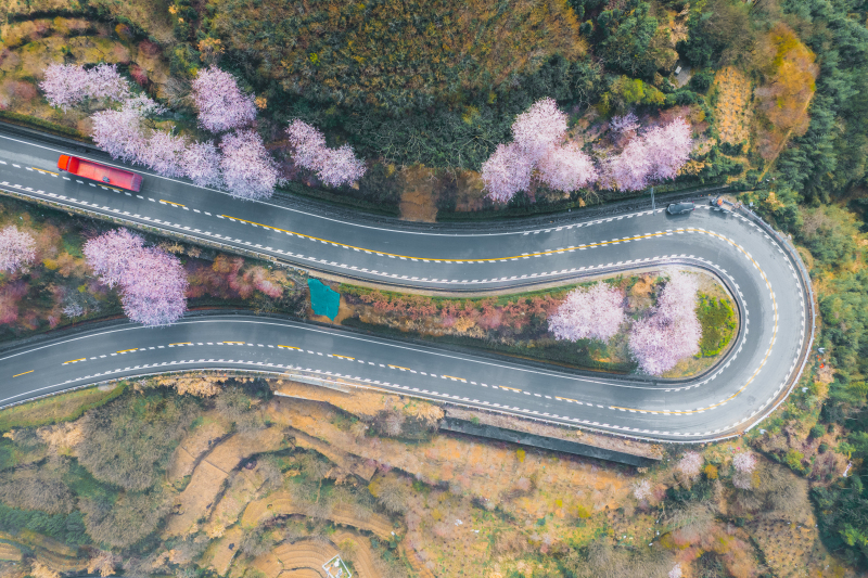 浒溪线发卡弯余姚大山里群山青山绿树樱花鲜花春色春天汽车山路