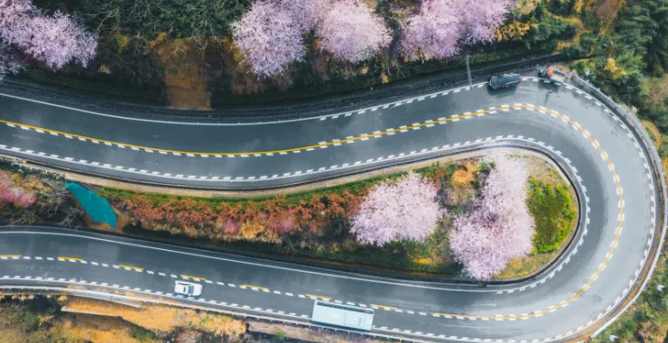 浒溪线发卡弯余姚大山里群山青山绿树樱花鲜花春色春天汽车山路