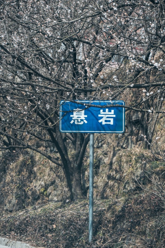 余姚悬岩村山村乡村农村村庄梅花桃花樱花鲜花