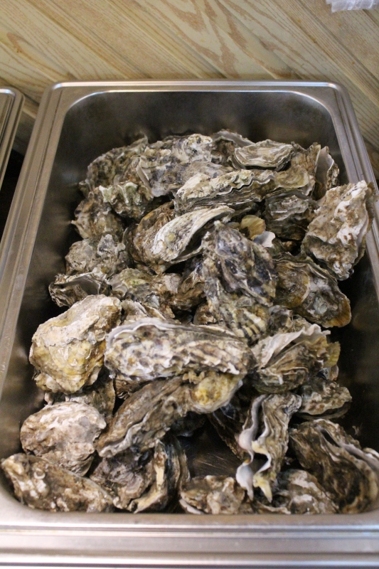 高压锅生蚝海鲜自助餐美食