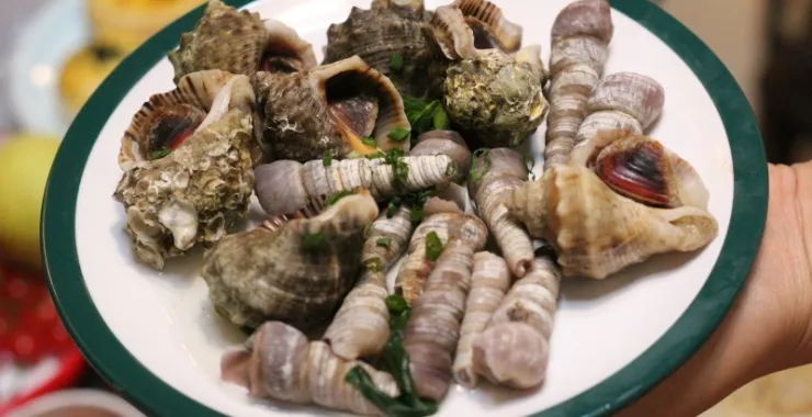 海鲜一锅端海螺螺蛳贝壳美食