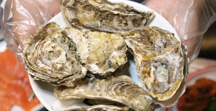 清蒸生蚝海鲜美食
