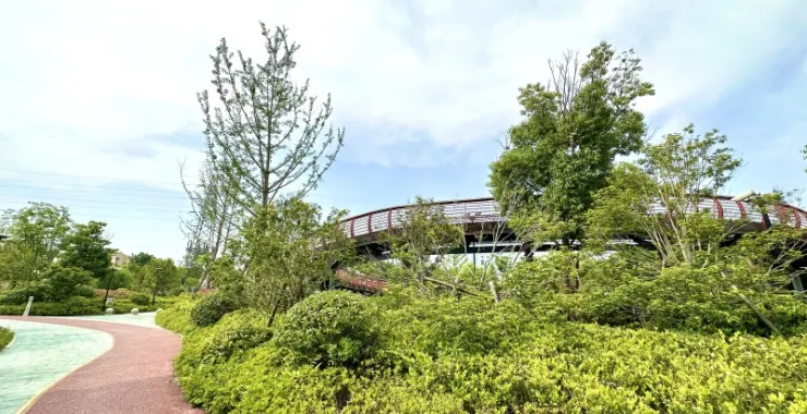 余姚蛇山公园花园绿道塑胶跑道