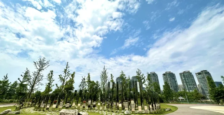 余姚市姚江公园蓝天白云下的绿色春色步道树