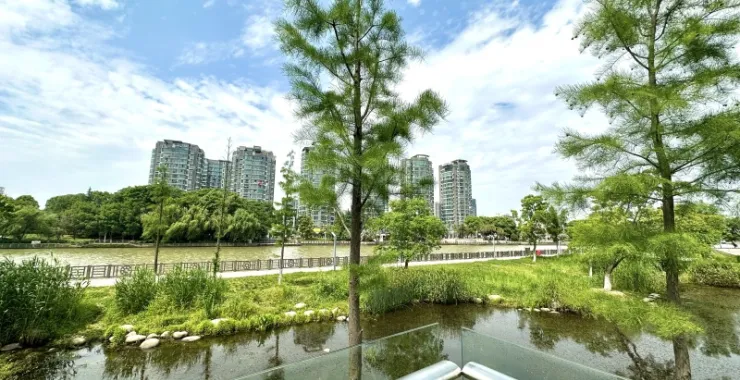 余姚市姚江公园蓝天白云下的绿色春色步道树