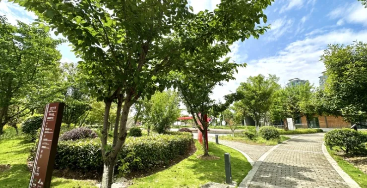 余姚市姚江公园春色绿色步道树草地绿地