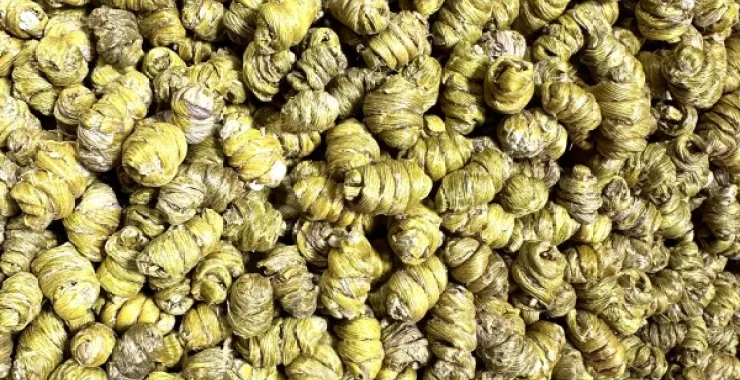 余姚美食干货铁皮石斛中药养生