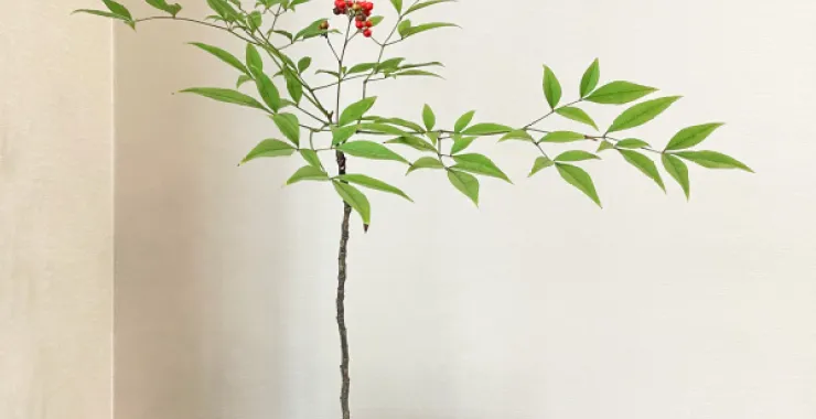 新中式探家摆件