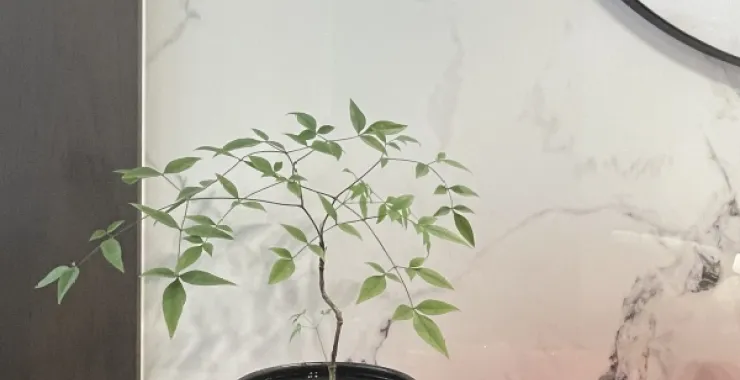 新中式探家摆件