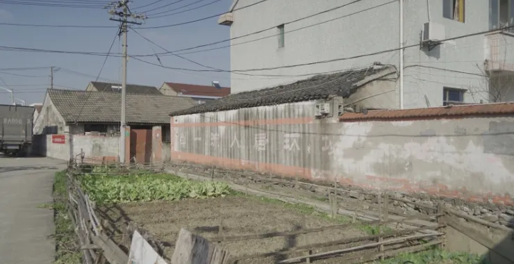 余姚剑江村拆迁地块农田