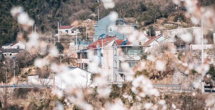 余姚大燕梅花山路蜿蜒大山里山间航拍俯瞰山路群山青山绿树农村村庄路边