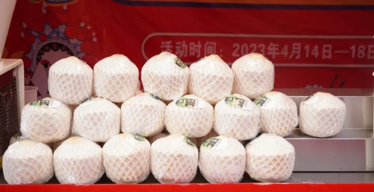 美食节椰子椰汁