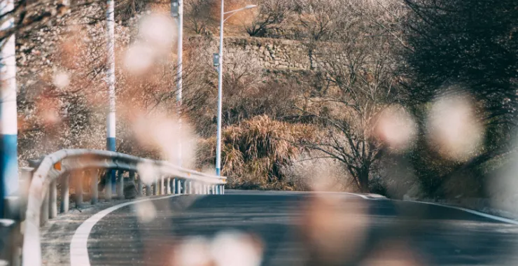 余姚大燕梅花山路蜿蜒大山里山间航拍俯瞰山路群山青山绿树农村村庄路边