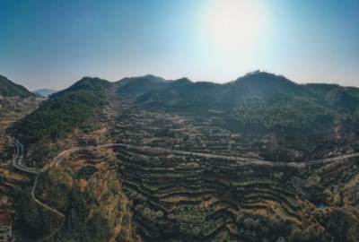 SimilarPics