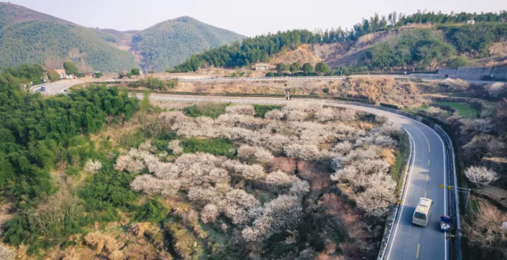 余姚大燕梅花山路蜿蜒大山里山间航拍俯瞰山路群山青山绿树农村村庄
