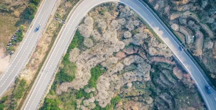 余姚大燕梅花山路蜿蜒大山里山间航拍俯瞰山路群山青山绿树农村村庄