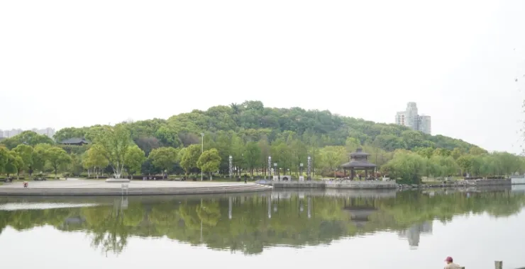 余姚玉皇山公园春色绿色河流