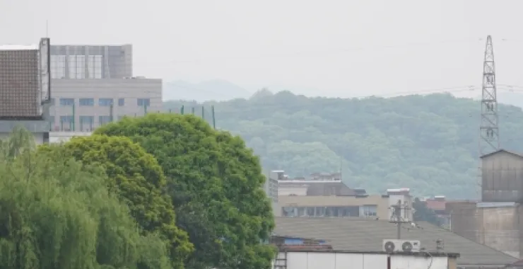 余姚柳树河流中江