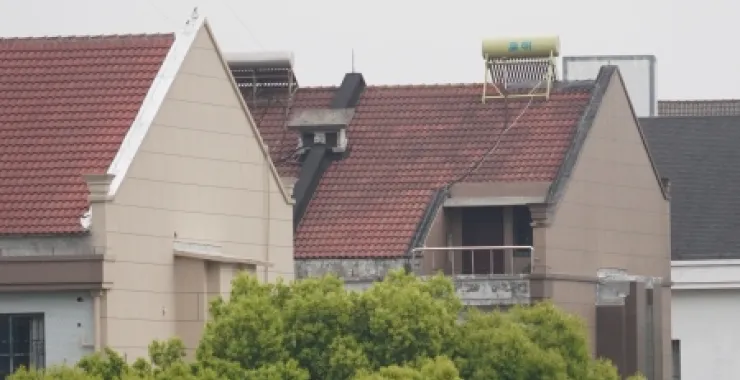 余姚自建房树木农村乡村