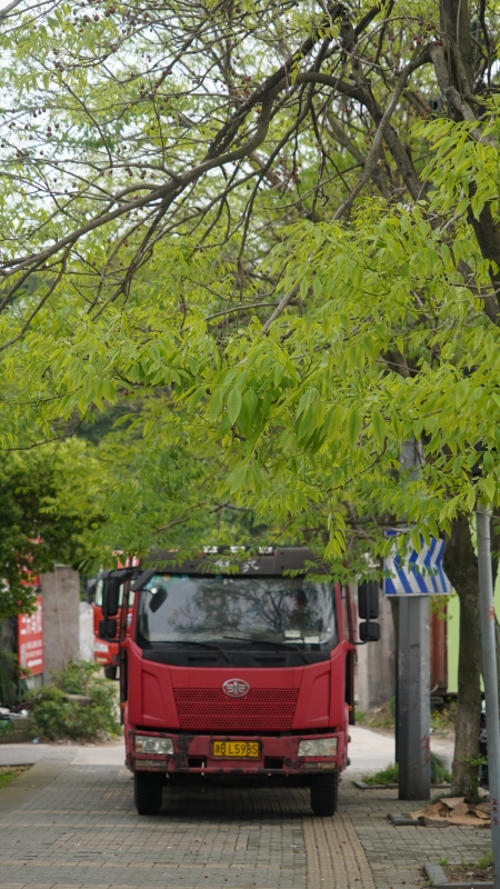 余姚马路货车大树