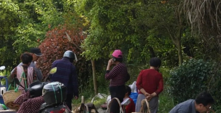 冯村毛笋市场交易