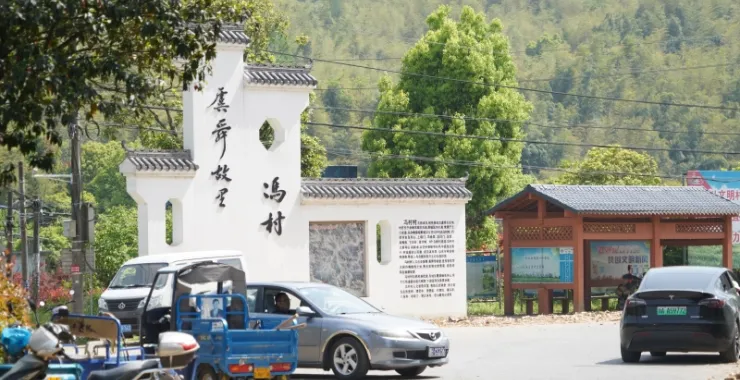 冯村毛笋市场交易