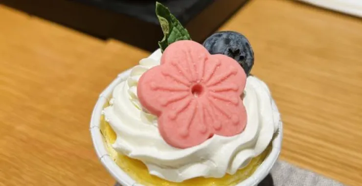宁波伯瑞特酒店自助餐美食小蛋糕