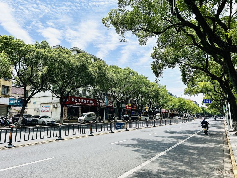 马路交通绿化带城市电瓶车