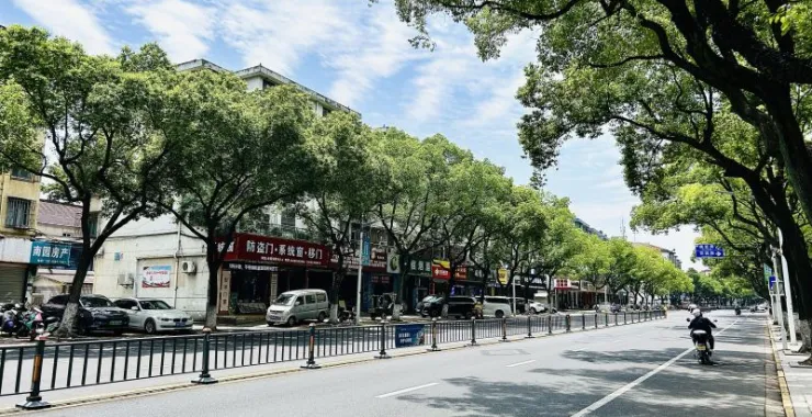 马路交通绿化带城市电瓶车
