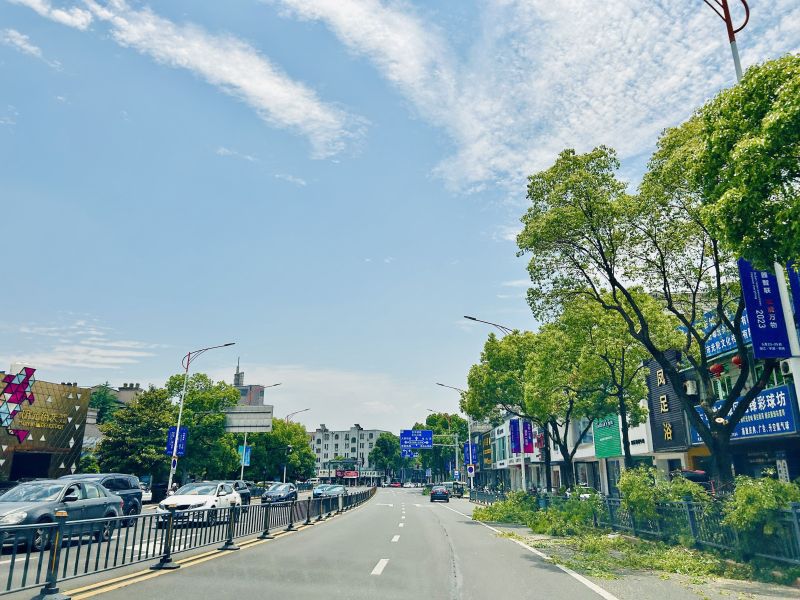 马路交通车辆城市汽车绿化
