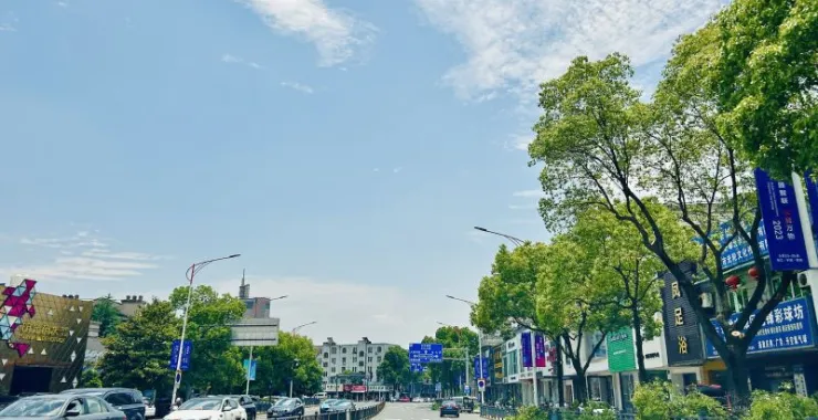 马路交通车辆城市汽车绿化