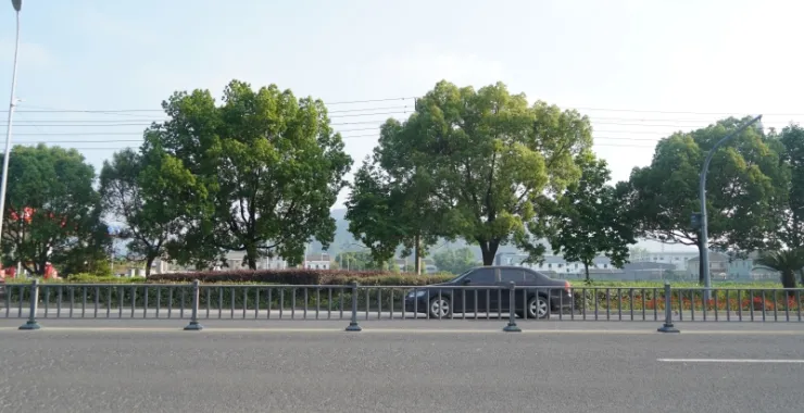 余姚马路护栏汽车