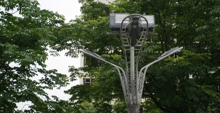 路灯绿树