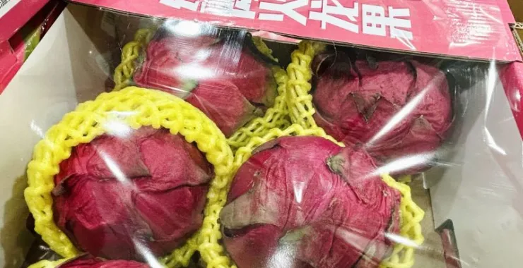 水果火龙果超市购物