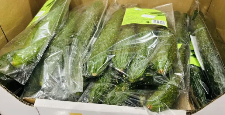 青瓜黄瓜蔬菜超市购物