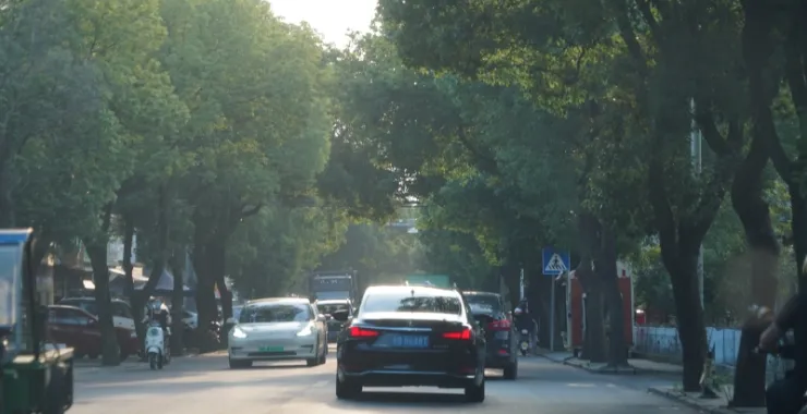 乡村马路汽车树木