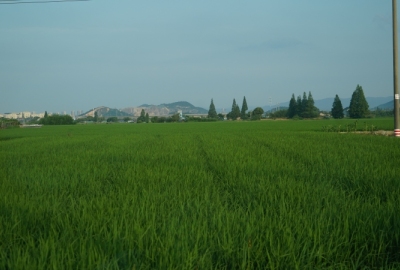 SimilarPics