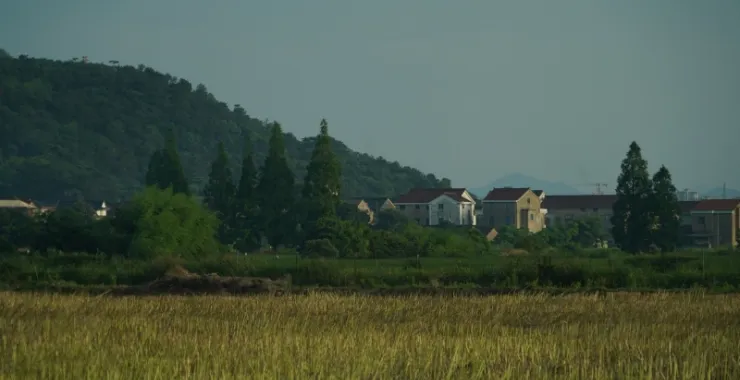 乡村田野田间山农村