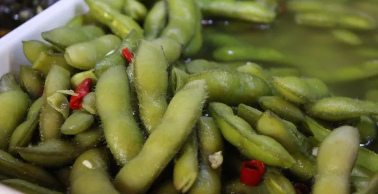 毛豆凉菜餐饮美食自助餐